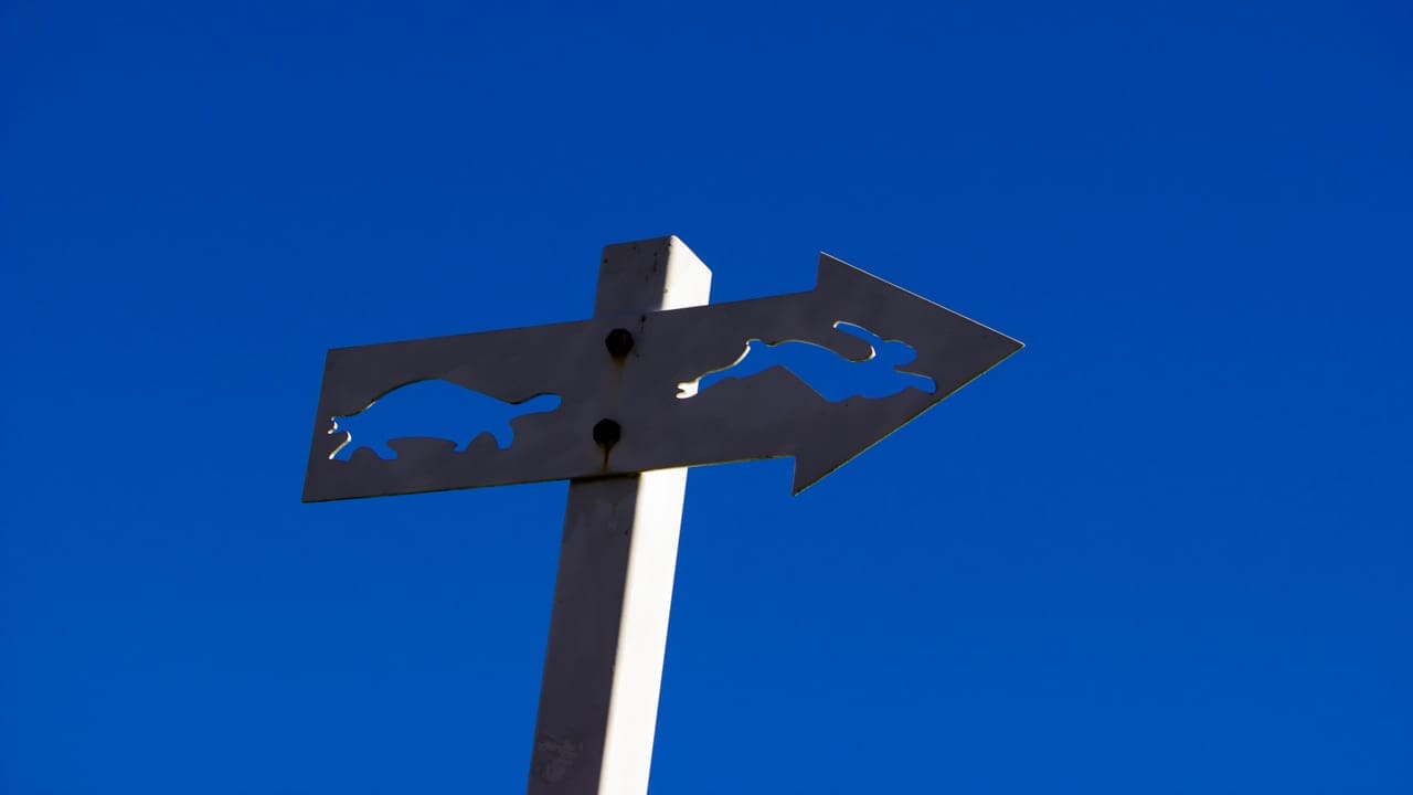 An arrow pointing to wildlife.
